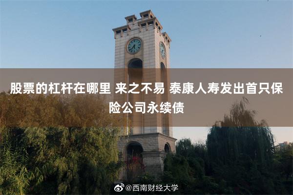 股票的杠杆在哪里 来之不易 泰康人寿发出首只保险公司永续债