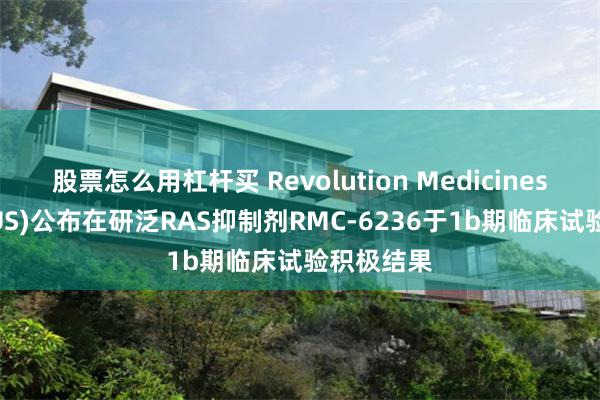 股票怎么用杠杆买 Revolution Medicines(RVMD.US)公布在研泛RAS抑制剂RMC-6236于1b期临床试验积极结果