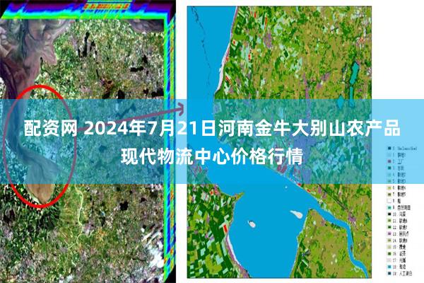 配资网 2024年7月21日河南金牛大别山农产品现代物流中心价格行情