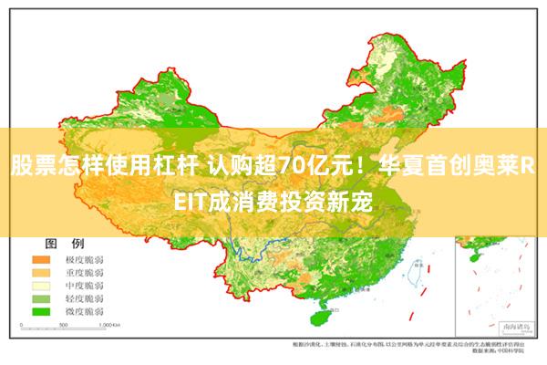 股票怎样使用杠杆 认购超70亿元！华夏首创奥莱REIT成消费投资新宠