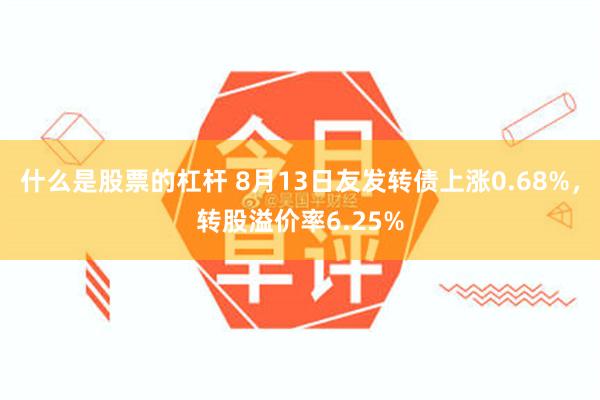 什么是股票的杠杆 8月13日友发转债上涨0.68%，转股溢价率6.25%