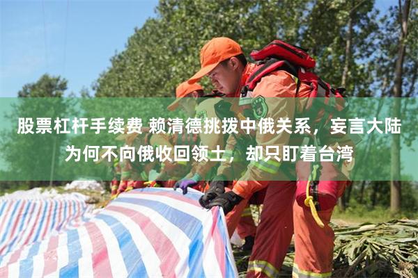 股票杠杆手续费 赖清德挑拨中俄关系，妄言大陆为何不向俄收回领土，却只盯着台湾