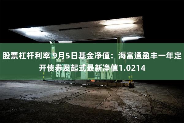 股票杠杆利率 9月5日基金净值：海富通盈丰一年定开债券发起式最新净值1.0214