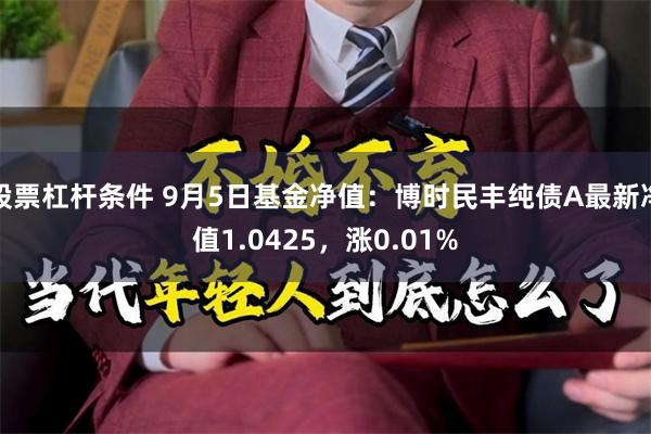 股票杠杆条件 9月5日基金净值：博时民丰纯债A最新净值1.0425，涨0.01%