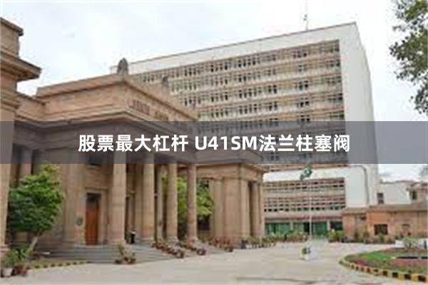 股票最大杠杆 U41SM法兰柱塞阀