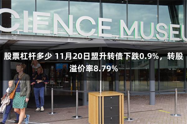 股票杠杆多少 11月20日盟升转债下跌0.9%，转股溢价率8.79%