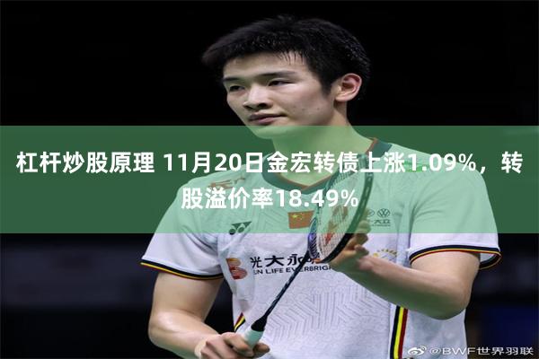 杠杆炒股原理 11月20日金宏转债上涨1.09%，转股溢价率18.49%