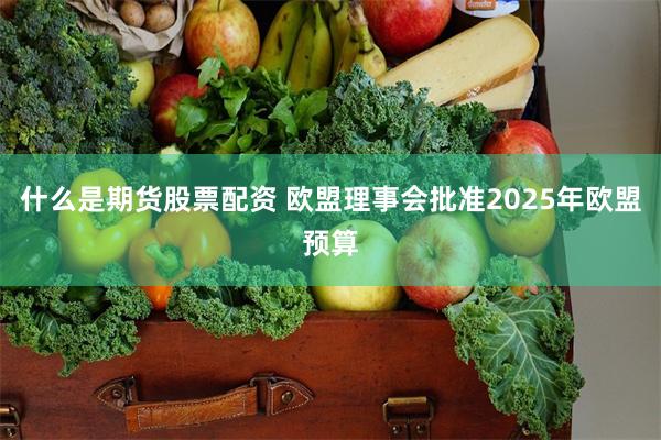 什么是期货股票配资 欧盟理事会批准2025年欧盟预算