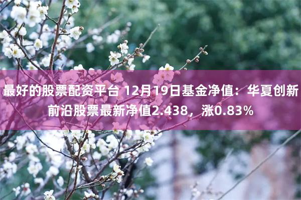 最好的股票配资平台 12月19日基金净值：华夏创新前沿股票最新净值2.438，涨0.83%