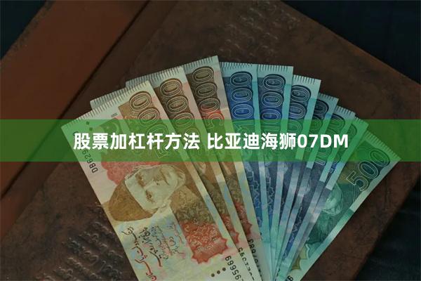 股票加杠杆方法 比亚迪海狮07DM